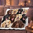 thumbnail image 6 of Chocolate Black Yellow Lab Portrait Group Art autumn celebration, Playful Pet Portrait Pattern, Warm Flannel Blanket for Living Room and Bedroom, Dog Moms person's Day Gift, Pet Lover Home Decor, 6 of 9