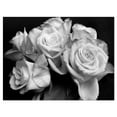 thumbnail image 2 of Design Art Bunch of Roses Black And White Floral Canvas Art Print, 2 of 3