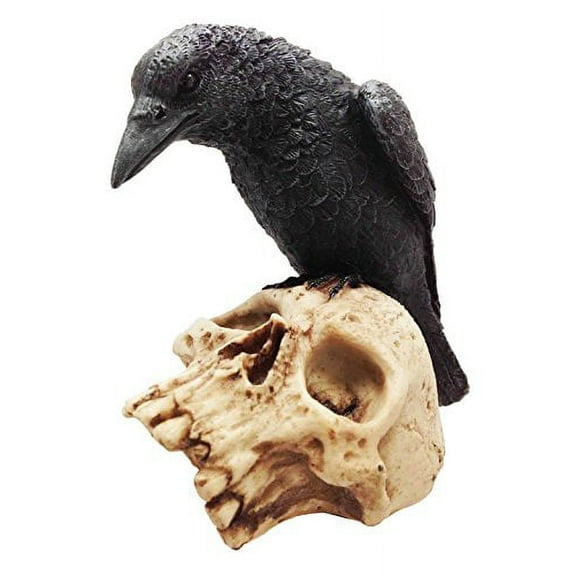 Dark Crow Raven Hovering on Prey Skull Skeleton Resin Figurine Sculpture