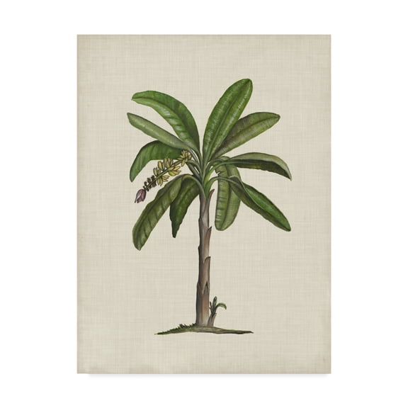Trademark Fine Art 'British Palms II' Canvas Art by Naomi McCavitt
