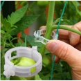 thumbnail image 1 of Paquete de 100 Clips de fijación para plantas de jardín, atar plantas, cordel, jaulas enrejadas, herramientas de injerto de verduras para cultivo, 1 of 5