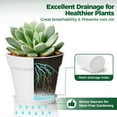 thumbnail image 3 of 6 Inch Plant Pot 8-Pack, Plastic Planter with Drainage Hole and Saucer, Decorative Nursery Pots Bulk for African Violet, Snake Plant, Succulent, Herb and Plants Indoor (8 Pcs 6" Pots, White), 3 of 9
