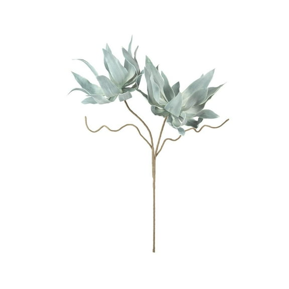 Kalalou Inc Botanica #2547