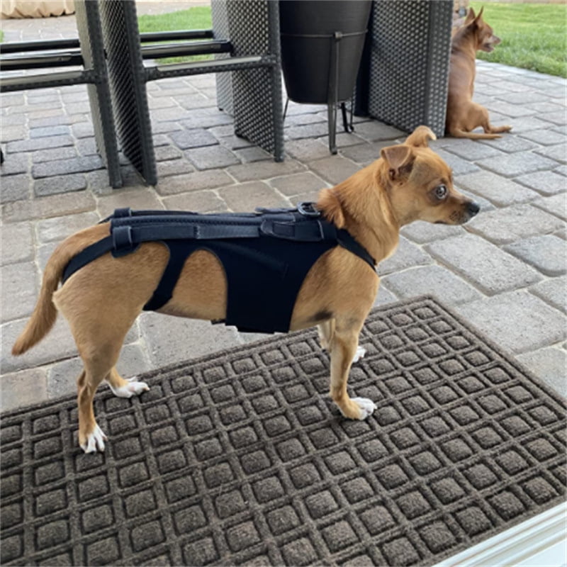 cheefull Back Brace for DogsBreathable Pet Back Bracer for IVDDBack