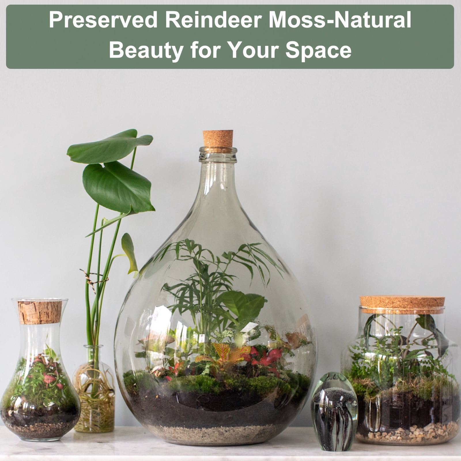 Uxcell 7.8oz Preserved Reindeer Moss Black Decorative Artificial Fake Moss