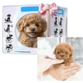 thumbnail image 5 of 2025 Upgraded Robot Dog,Realistic Robot Puppy - Interactive Robotic Pet That Sits,Barks,Walks & Runs Like a Real Dog, 5 of 8