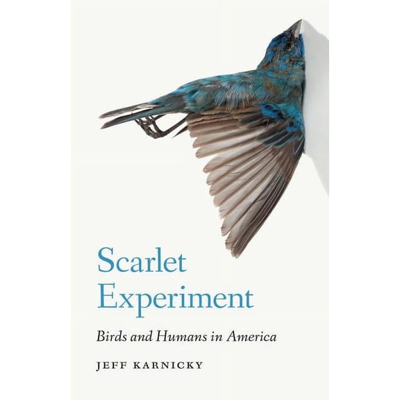 Scarlet Experiment: Birds and Humans in America, (Hardcover)