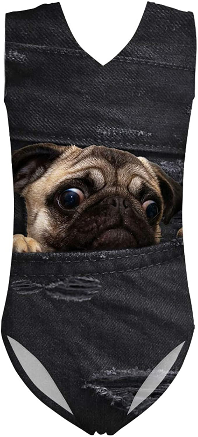 pug in a bathing suit