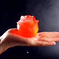 thumbnail image 3 of Molde de silicona reutilizable de rosa 3D, bandejas de cubitos de hielo, molde para hacer helados, bola antiadherente, gelatina de pudín de hielo congelado Sincero Hogar, 3 of 7