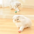 thumbnail image 3 of Interactive Cat Ball Toy with Auto-Rolling Function - ABS & Silicone Material for Teething and Chewing, Self-Entertaining Pink Pet Plaything, Includes 1 Toy Ball and 1 Type-C Cable, Compact 4.3cm, 3 of 6