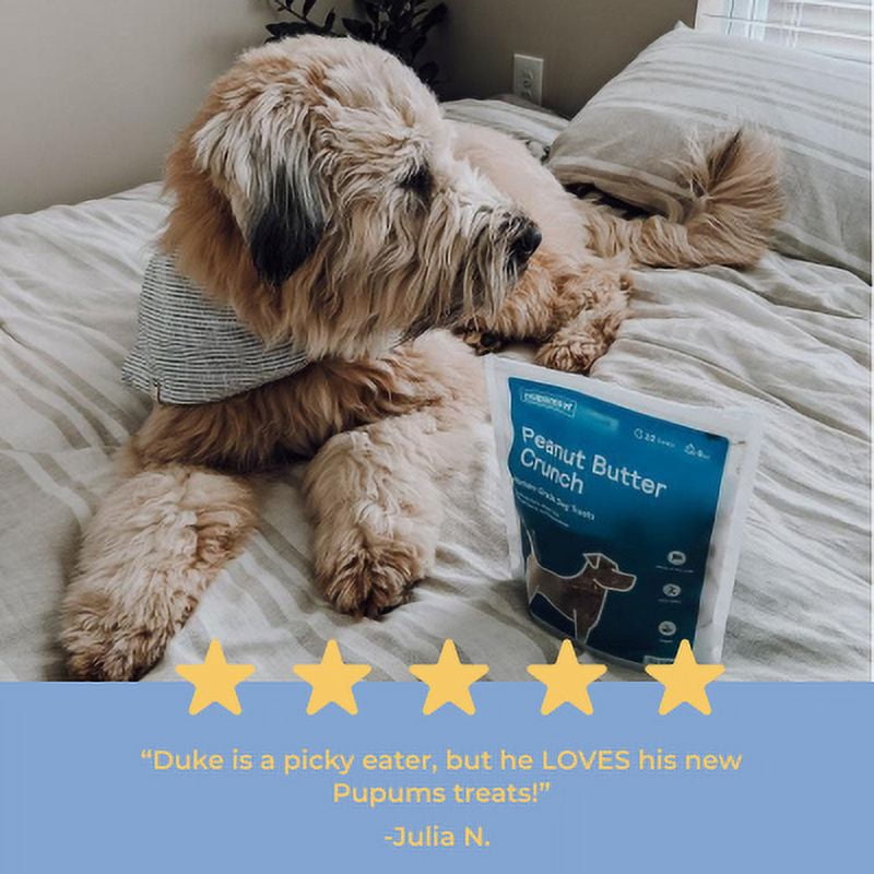 Pupums Healthy Dog Treats | All Natural Dog Biscuits with 100% Human Grade and Non-GMO Ingredients | Made in The USA | Handcrafted | Made For All Dog Sizes and Ages | Various Flavors