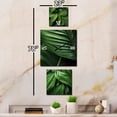 thumbnail image 3 of Designart "Embracing Exotic Palmscape in Emerald Hues" Palms & Palm Trees & Palm Trees Extra large Clock For Office Décor - Large Traditional Wall Clock - Oversized Green Wall Clock - Set Of 3, 3 of 6
