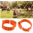 thumbnail image 1 of Anillos de patas de aves de corral, 100 piezas de bandas de clips de plástico para anillos de patas de pollos LingWen 8390614632097, 1 of 1
