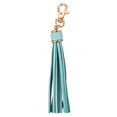 thumbnail image 2 of Tnobhg Tassel Keychain Pendant Faux Leather Solid Color Lobster Clip Fringe Stainless Lightweight Portable DIY Keyring Schoolbag Decoration Pendant, 2 of 8