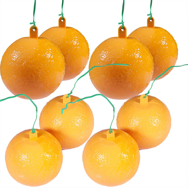 Sticky Fly Traps Outdoor Hanging,Fruit Fly Trap Indoor,Gnat Trap