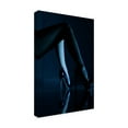 thumbnail image 4 of Erik Schottstaedt 'Blue Velvet' Canvas Art, 4 of 4