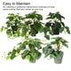 thumbnail image 4 of Plantas artificiales Advancent Hoja Planta falsa Interior Exterior Boda Hogar Paisaje Navidad Decoración, 4 of 6