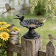 thumbnail image 2 of Cast Iron Bird Baths for Outdoors, Cast Iron Bird Feeder, Metal Bird Bath, Home Garden Lawn Yard Table Decorations, 2 of 6