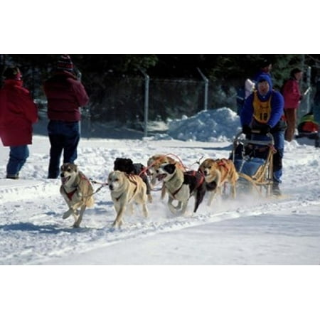 sledding nh sled team new hshire usa canvas jerry marcy monkman danitadelimont 18 sledding nh sled team new hshire usa canvas jerry marcy monkman danitadelimont 18