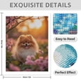 thumbnail image 3 of Diamond Art Kits for Adults - 5d Cute Pomeranian In Blossoming Garden Diamond Painting for Adults, Diamond Art for Adults Beginners, Diamond Painting Kits for Adults for Home Wall Decor, 3 of 7