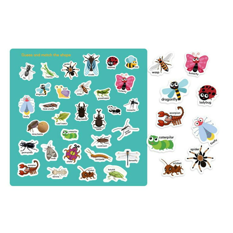 Reusable Sticker Books for Kids- My Body, Zoo, Vehicles, Space, Ocean Animals Cute Static & Adhesive Stickers Book for Toddlers Age 2-4 Educational