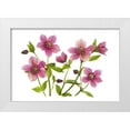thumbnail image 1 of Parker, Jacky 14x11 White Modern Wood Framed Museum Art Print Titled - Helleborus x hybridus Tutu, 1 of 4