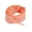 Orange, variant on Gingham Shoe Laces, Colorful Plaid Shoelaces For Canvas Shoes, Racing Shoes, Training