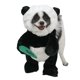 thumbnail image 1 of Disfraz de Halloween para perro Pandaloon, como se ve en Shark Tank, patentado, divertido disfraz con brazos para perros y gatos pequeños y medianos (panda tamaño 1 (13-14 pulgadas de altura en la par, 1 of 5