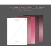 Blackpink - BORN PINK (Standard CD Boxset Version A / PINK) - Music & Performance - CD