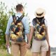 thumbnail image 4 of Disketp Golden Sky Bald Eagle Mochila de Lona Estampada, Mochila Escolar de Viaje Ligera para Estudiantes y Portátil-Medium, 4 of 5