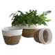 thumbnail image 4 of Maceta tejida con hierba, canasta de flores, plantas suculentas en macetas, pastos marinos verdes, artesanías hechas a mano, canasta de almacenamiento tejida, boca blanca S 15 * al, 4 of 13