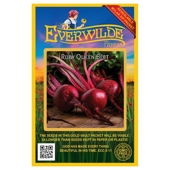 Everwilde Farms - 200 Ruby Queen Beet Seeds - Gold Vault Jumbo Bulk Seed Packet