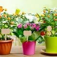 thumbnail image 2 of 40pcs Bamboo Plant Tags Labels Natural Bamboo Plant Marking Labels for Garden, 2 of 9