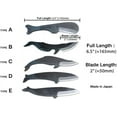 Shiroko High Carbon Steel Kurouchi KUJIRA Whale Japanese Utility Knife shiroko-high-carbon-steel-kurouchi-kujira-whale-japanese-utility-knife