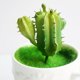 thumbnail image 4 of Gwong Decoración hogareña 1 UNID Cactus Artificial Suculento Garden Lifelike Plant Bonsais Decor Decor Gwong 21034580, 4 of 7