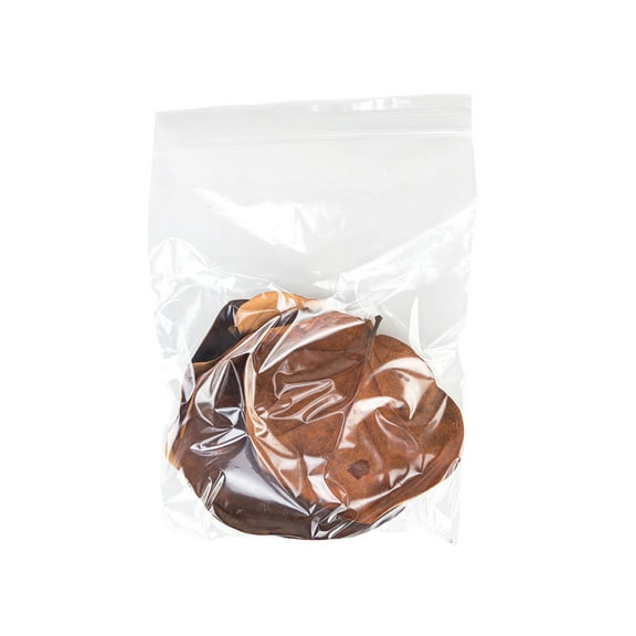 Sea Grape Leaf Litter (5 leaves)