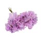 thumbnail image 3 of Bearachild 6/8/10/12/50/70/90 Uds. Mezcla de flores moradas cereza estambre bayas paquete DIY Navidad pastel de boda caja de regalo decoración de coronas Flores artificiales No.05 Bearachild HA002016-05, 3 of 6