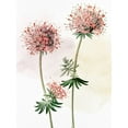 thumbnail image 2 of Allen, Kimberly 15x18 White Modern Wood Framed Museum Art Print Titled - Watercolor Crosswort, 2 of 4