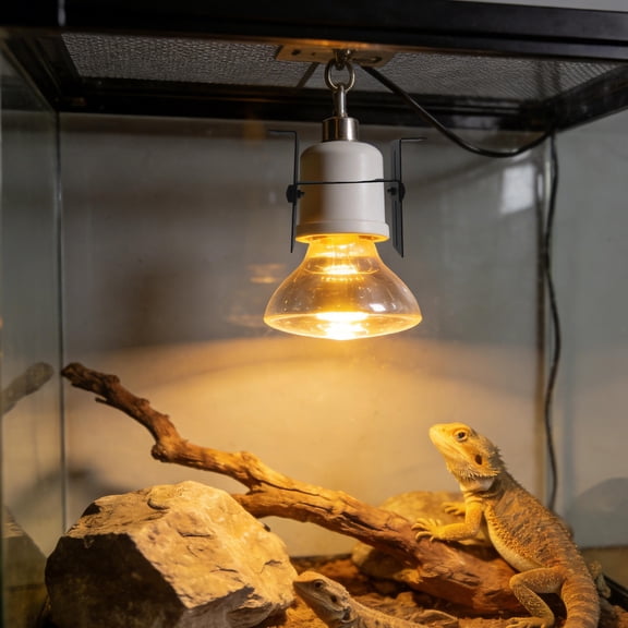 USHOBE 2Ud Soporte Metálico Ajustable Para De Reptil Con Montaje En Para Terrarios Y Acuarios
