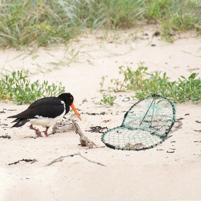 Where Traps for Small Animals Bird Trap Net Wear-resist Bird Trap Pigeon Catching  Net Bird Net Quail Polyethylene Mesh 