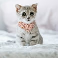 thumbnail image 5 of 2 Pcs Collier Triangle Foulard Chaton Nœud Papillon Accessoires de Costume pour Animaux, 5 of 5