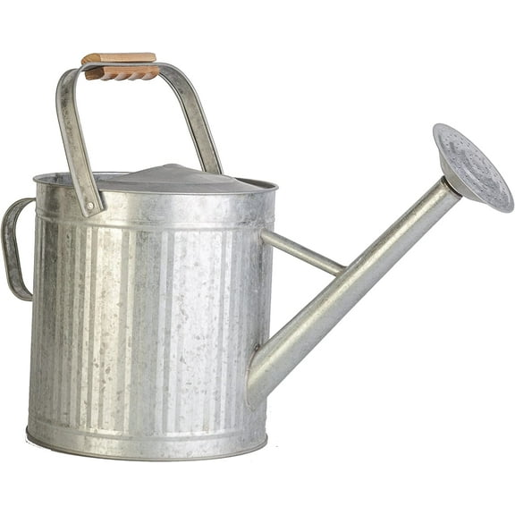 2 Gallon Vintage Galvanized Watering Can with Wood Handle