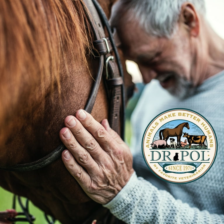 Dr. Pol Healthy Balance 14 7 19 Extruded Horse Feed 40 lb. Bag Walmart