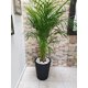 thumbnail image 5 of Maceta Plastico Redonda con Drenaje, 38 cm x 33 cm negro 6.49 pulg Elly Decor ED-MRP01WH, 5 of 12