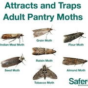 Safer Brand The Pantry Pest Pantry Moth Trap