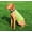 Green, variant on Dog Reflective Vest, Dog Hunting Vest for Outdoor, Adjustable Pet Jacket, Used for High Visibility Soft Pet Safety Clothes for Small Medium Large