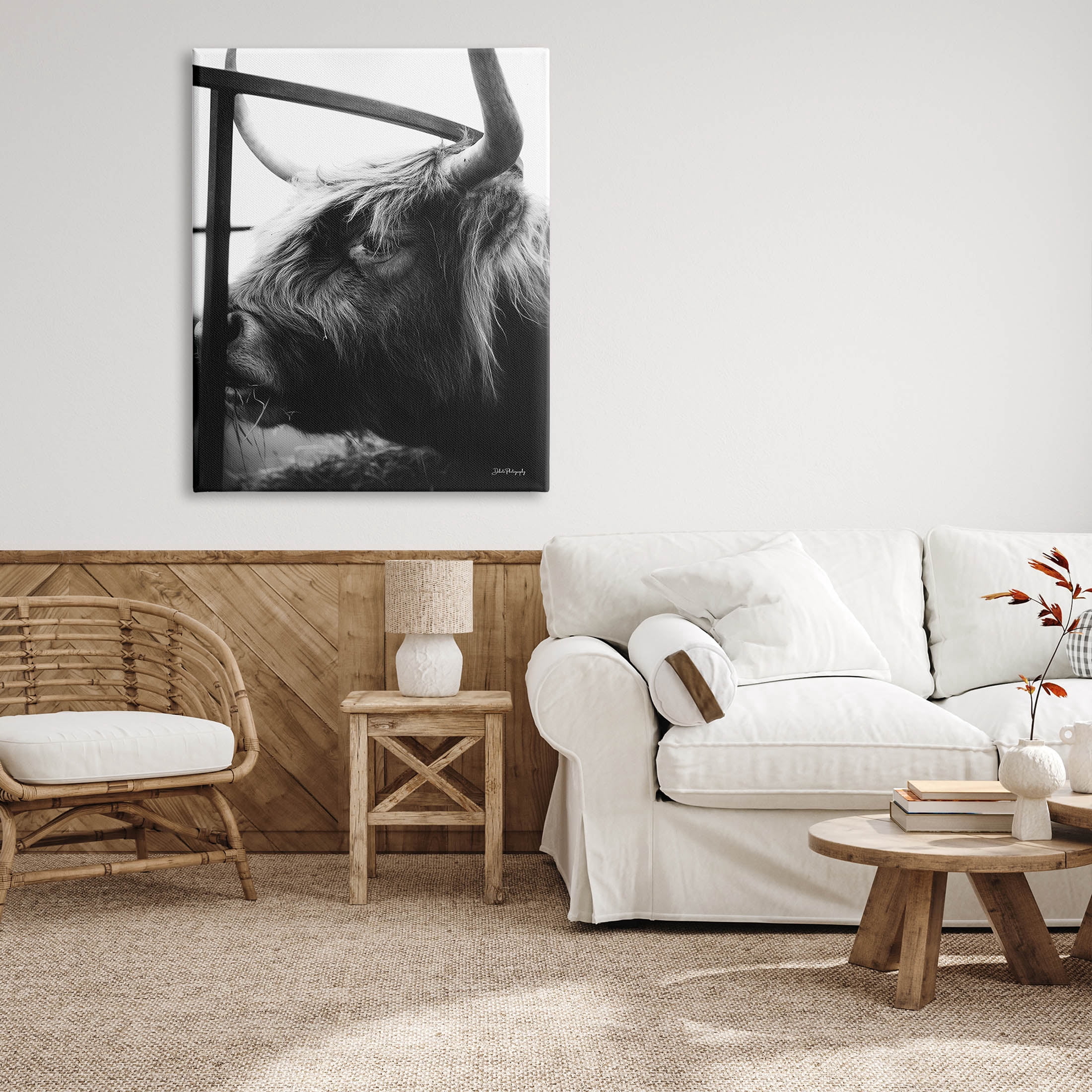 Longhorn Cattle Feeding Portrait Animals & Insects Photograph Gallery Wrapped Canvas Print Wall Art