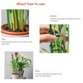 thumbnail image 2 of PATLOLLAV 6 Pcs Adjustable Plant Support Stakes Garden Single Stem Support Stake Plant Cage Support Rings with Plant Clips and Connect Pipe for Orchid Rose Tomato,16 Inch, 2 of 4