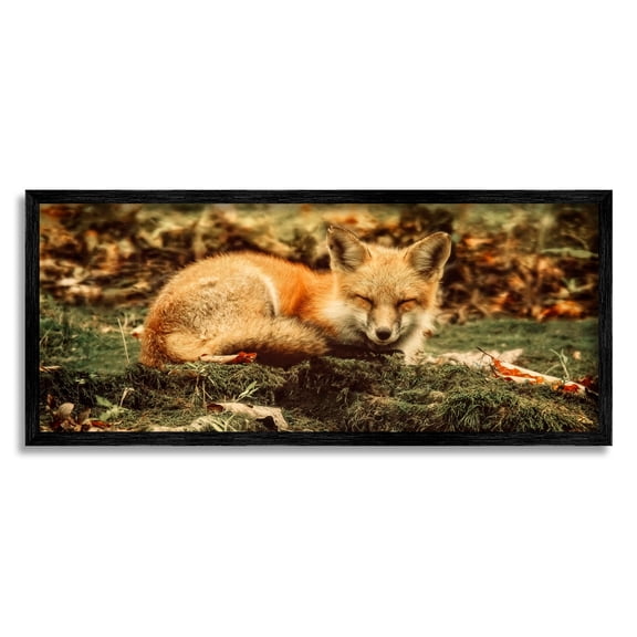 Stupell Industries Sleeping Fox Kit Peaceful Forest Floor Lush Nature Photograph Black Framed Art Print Wall Art, Design by Carrie Ann Grippo-Pike