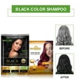 thumbnail image 5 of Herbishh Hair Color Shampoo for Gray Hair, Men & Women, Travel Size, 10+1 Pack (Black 30 ml), 5 of 7